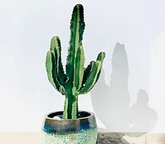 Fashion Iriome Villa